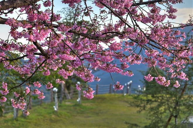 Hsinchu Love Xiweng Luxury Camping｜One Stay, Four Meals, and a Starry Sky Exploration Tour