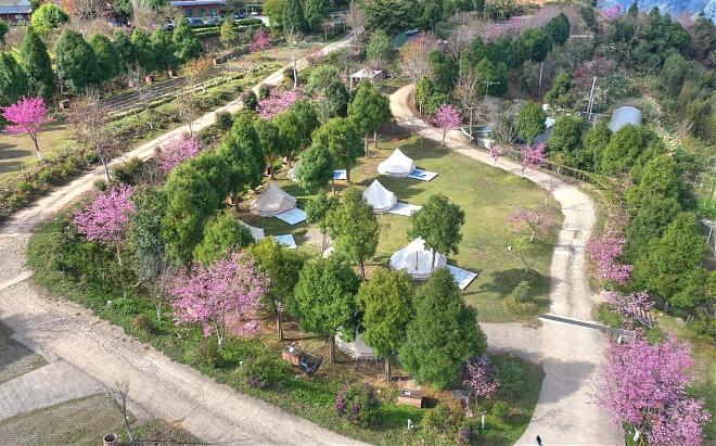 Hsinchu Love Xiweng Luxury Camping｜One Stay, Four Meals, and a Starry Sky Exploration Tour