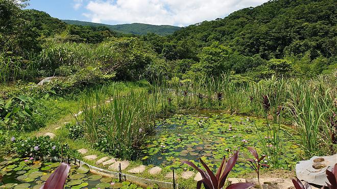 [Tanlan Middle Road] Louzaicuo Ancient Trail and Hubaotan Ancient Trail Century-Old Mountain Trail Hike