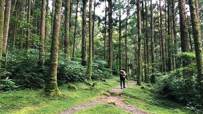 Taoyuan Dongman Trail One-Day Hike Challenge | Dongyan Mountain to Manyueyuan 14K