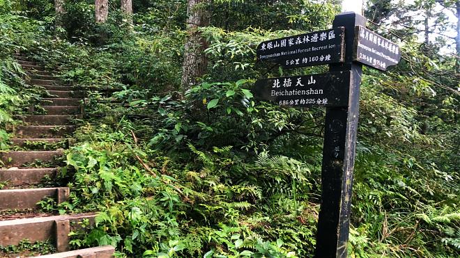 Taoyuan Dongman Trail One-Day Hike Challenge | Dongyan Mountain to Manyueyuan 14K