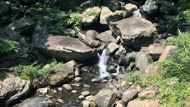 Taoyuan Dongman Trail One-Day Hike Challenge | Dongyan Mountain to Manyueyuan 14K