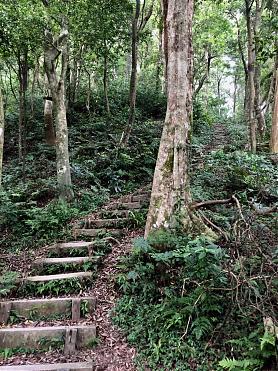 Taoyuan Dongman Trail One-Day Hike Challenge | Dongyan Mountain to Manyueyuan 14K