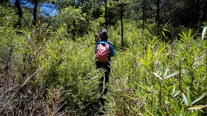 Yilan Rome Day and Night Hiking Tour｜Vast Sky Forest