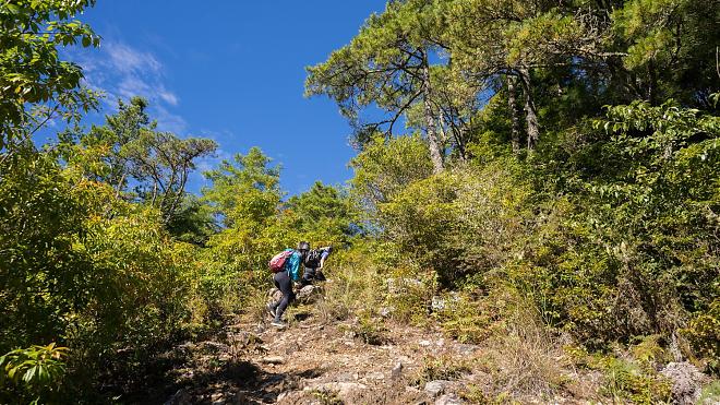 Yilan Rome Day and Night Hiking Tour｜Vast Sky Forest