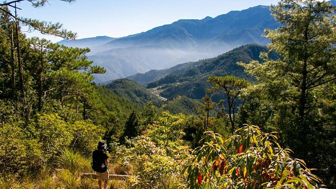 Yilan Rome Day and Night Hiking Tour｜Vast Sky Forest