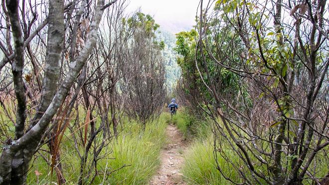 Yilan Rome Day and Night Hiking Tour｜Vast Sky Forest