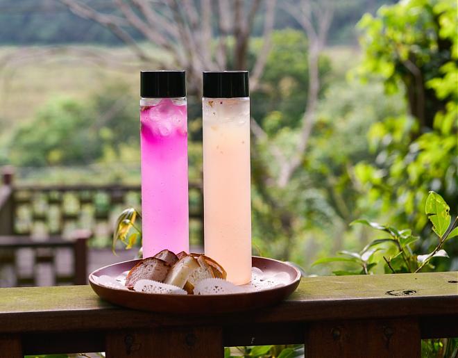 Taichung Baxianshan Forest x Earth Table: A Healing Journey of Original Flavors