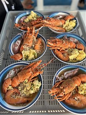 Penghu East China Sea Starry Sky Tour | Evening Cruise to Penghu Beach. Must-Try Lobster Noodles | Feeding Terns & Night Fishing