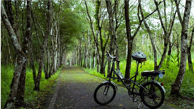 2-Day Cycling Tour of Hualien and Taitung | Forest Therapy and Black Bear Country