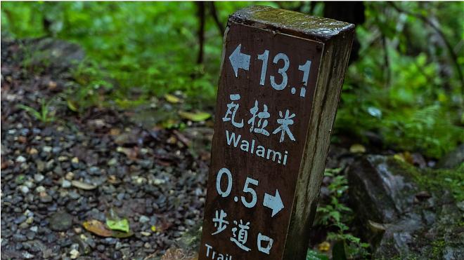 2-Day Cycling Tour of Hualien and Taitung | Forest Therapy and Black Bear Country