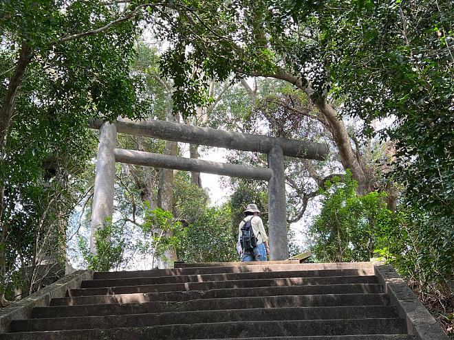 2-Day Cycling Tour of Hualien and Taitung | Forest Therapy and Black Bear Country