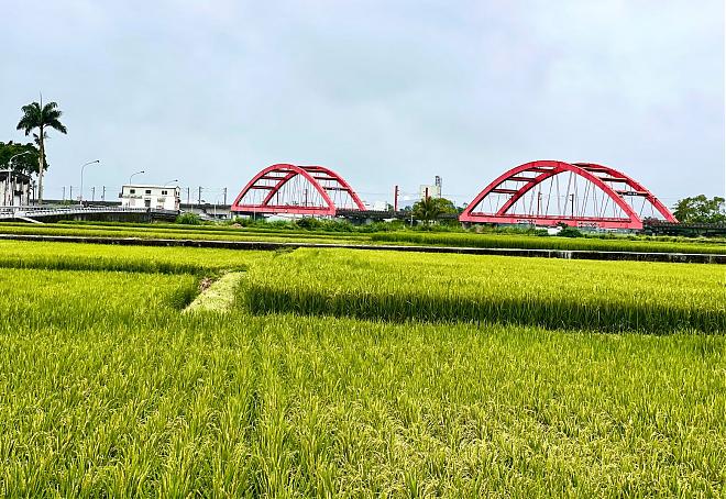 2-Day Cycling Tour of Hualien and Taitung | Forest Therapy and Black Bear Country