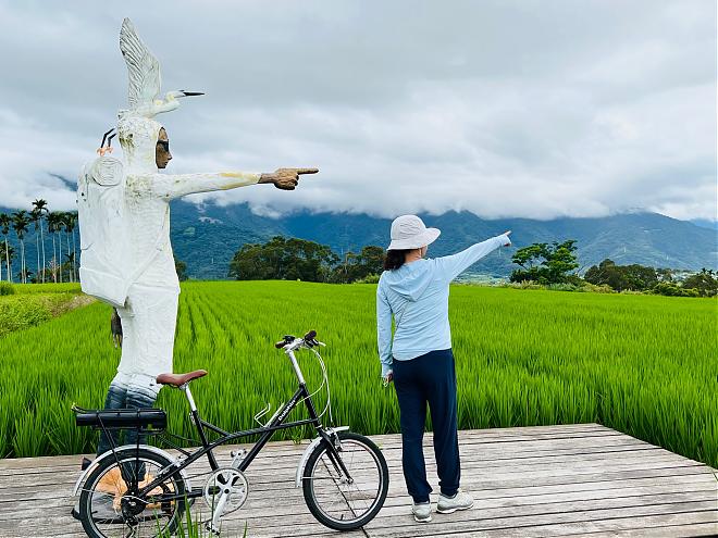 2-Day Cycling Tour of Hualien and Taitung | Rice Culture and Chishang Rural Scenery