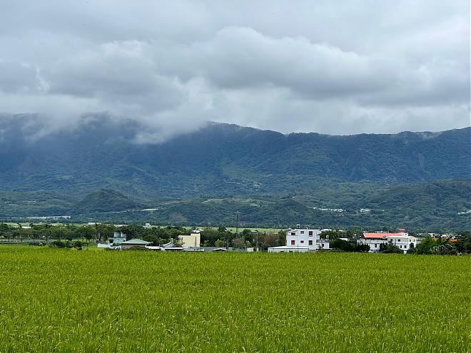 Slowly Traveling the Longitudinal Valley ~ Cycling in Hualien and Taitung | A Japanese Nostalgic and Rice Culture Tour in Guanshan