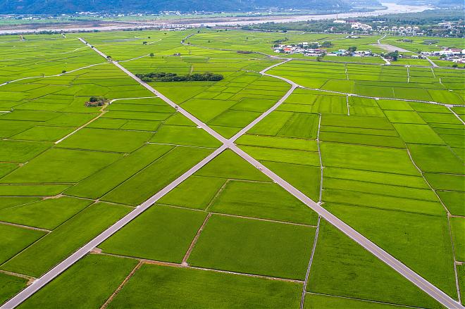 Chishang Half-Day Bike Tour | Cycling Paradise Road & Brown Avenue