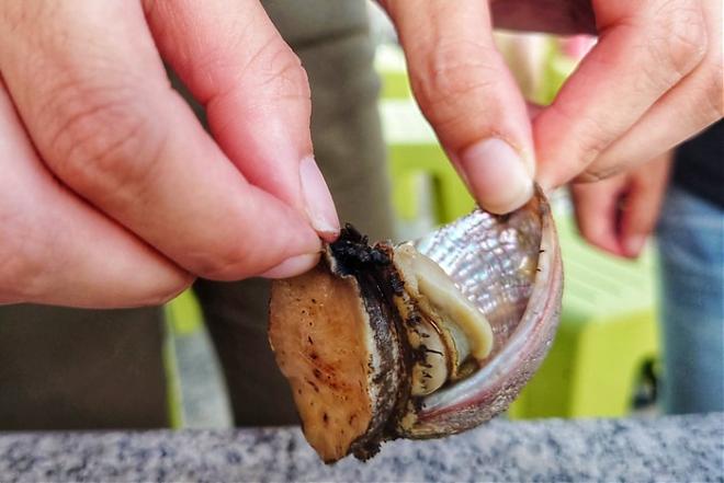 Join Haizhiren in Gongliao｜A Day Trip to the Northeast Corner of Gongliao, New Taipei City