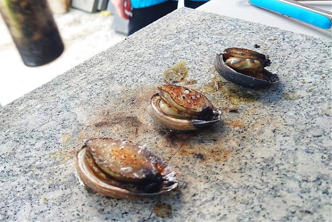 Join Haizhiren in Gongliao｜A Day Trip to the Northeast Corner of Gongliao, New Taipei City