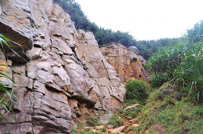 Longdong Bay Cape Mountain and Sea Secret Tour｜New Taipei Gongliao Youth Mountain and Sea Route