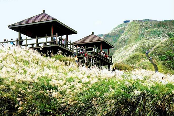 Northeast Coast - Caoling Historic Trail Miscanthus Season Day Tour | Private Guide & Taipei Departure