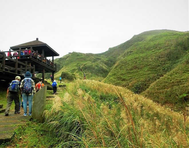 Northeast Coast - Caoling Historic Trail Miscanthus Season Day Tour | Private Guide & Taipei Departure