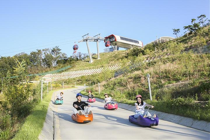 A one-day tour of Ganghwa Island, Incheon, near Seoul, including a luge ride, pink muhly grass, and seagull feeding.