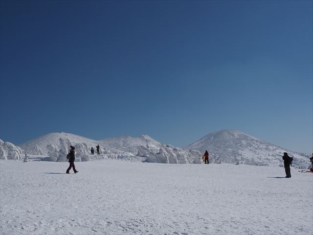 2025 Aomori Winter Wonderland: Hakkoda Frost-Ridged Trees Half-Day Tour