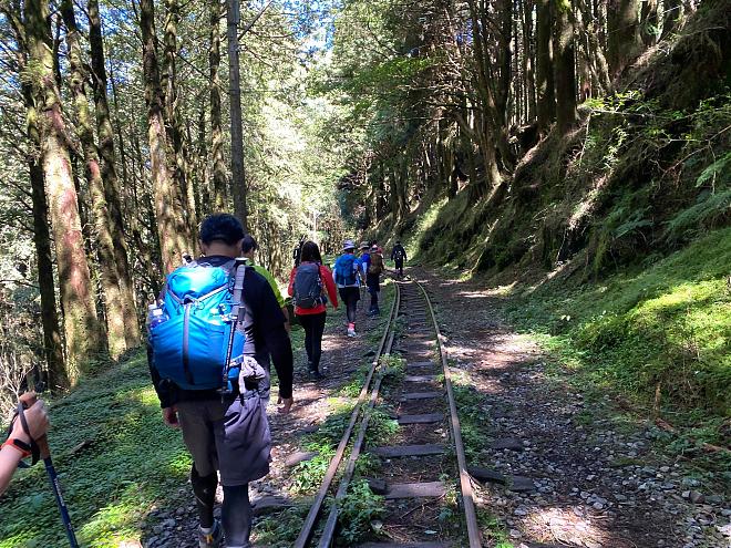Alishan Mianyue Line One-Day Solo Expedition | The Lost Secret of the Forest Railway