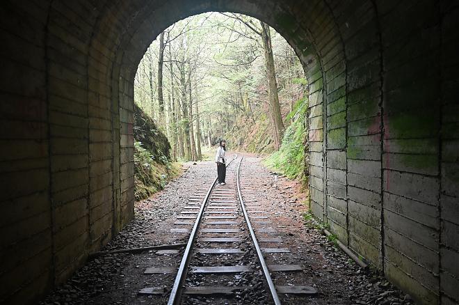 Alishan Mianyue Line One-Day Solo Expedition | The Lost Secret of the Forest Railway