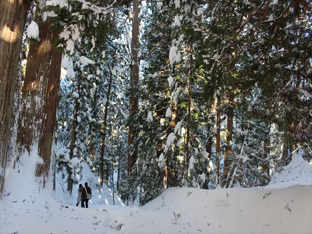 Yamagata 2-Day Cultural Experience + 1-Night Stay at Shudo (Chinese Guide)