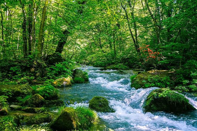 Aomori Day Tour with a Chartered Car | Oirase Gorge, Hirosaki Castle, and Lake Towada | Optional Itinerary
