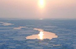 Hokkaido Asahiyama Zoo and Sunset Drift Icebreaker Day Tour | Depart from Sapporo
