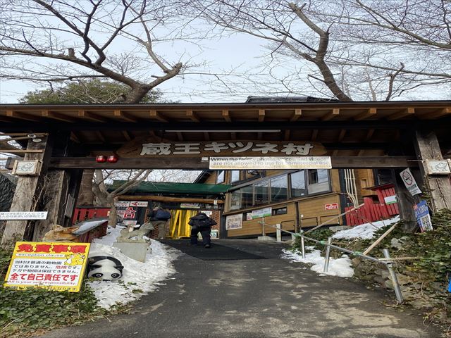Departing from Sendai | Chartered Car Tour of Tohoku Miyagi | Half-Day Tour of Zao Fox Village