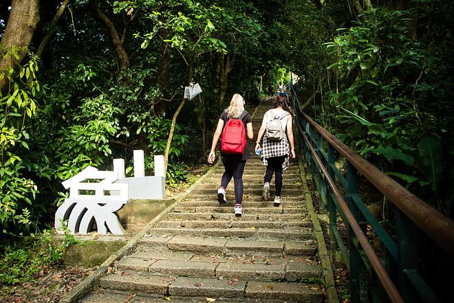 Taipei Pinglin and Xiangshan Day Tour | Tea Making and Tea Ceremony Experience