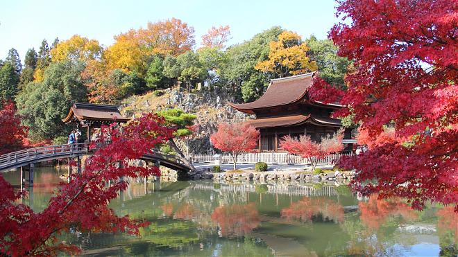 Departing from Nagoya | Day Trip to Ena Gorge, Magome, and Tsumago