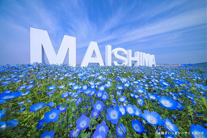 2023 Osaka Maishima Nemophila Festival Ticket x Shuttle Boat (One-way)