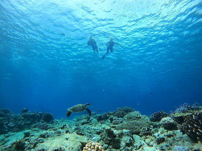 Half-Day Snorkeling and Parasailing Experience at Chibishi Island in Kerama, Okinawa (30-minute boat ride/free pick-up from Naha city)