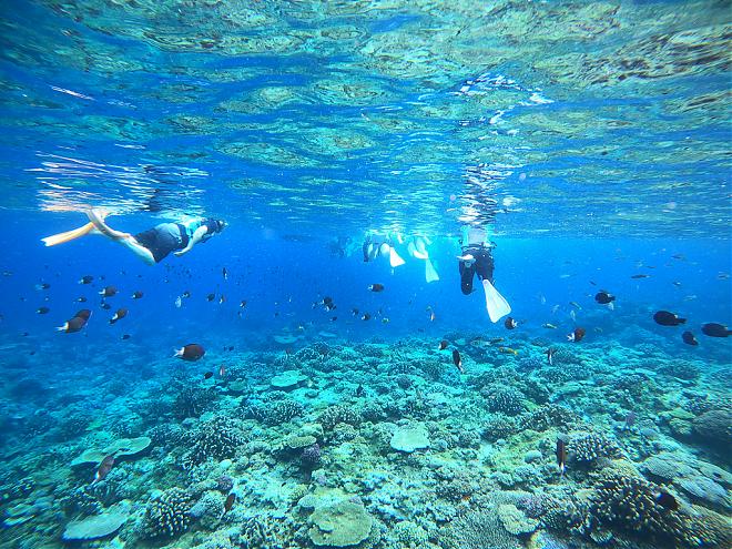 Half-Day Snorkeling and Parasailing Experience at Chibishi Island in Kerama, Okinawa (30-minute boat ride/free pick-up from Naha city)