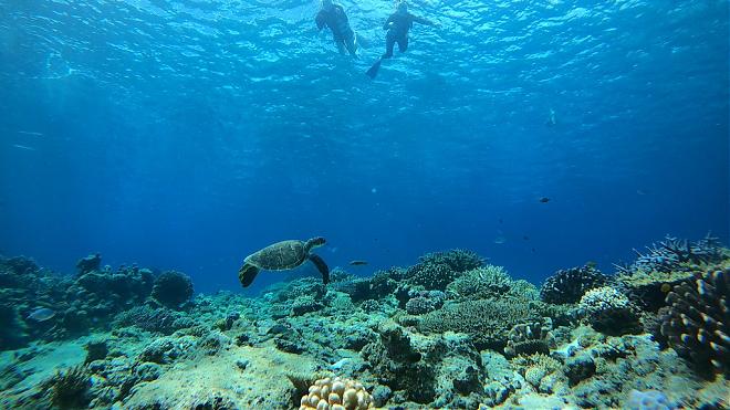 Half-Day Snorkeling and Parasailing Experience at Chibishi Island in Kerama, Okinawa (30-minute boat ride/free pick-up from Naha city)