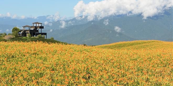 Hualien Sixty Stone Mountain - Cycling Through the Daylily Fields | Station Transfer