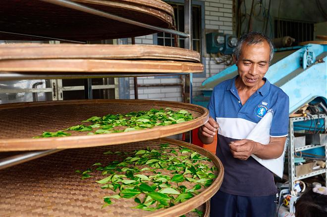 [New Taipei One-Day Farm Tour] Shiding Tea Tour and Handicraft Tour