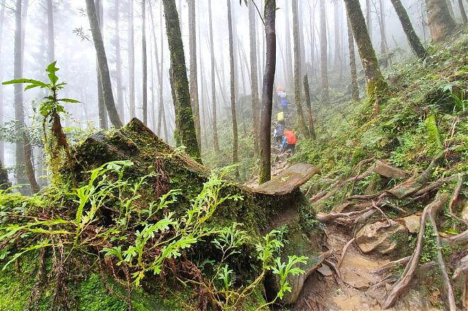 Two-Day Camping Tour at Songluo Lake, Yilan | The Lake of Seventeen-Year-Old Girls