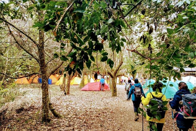Hsinchu's Xiakaluo Trail: 2-Day Hiking and Camping Tour with Fall Foliage Viewing | Round Trip to Yangyang