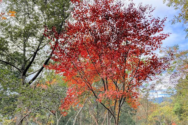 Hsinchu's Xiakaluo Trail: 2-Day Hiking and Camping Tour with Fall Foliage Viewing | Round Trip to Yangyang