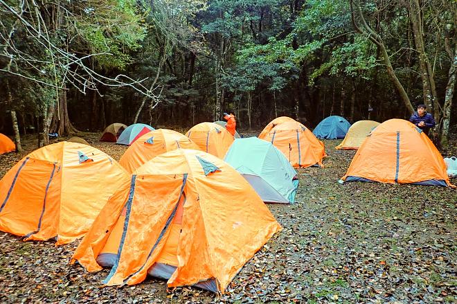 Hsinchu's Xiakaluo Trail: 2-Day Hiking and Camping Tour with Fall Foliage Viewing | Round Trip to Yangyang