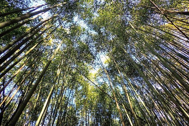 Hsinchu's Xiakaluo Trail: 2-Day Hiking and Camping Tour with Fall Foliage Viewing | Round Trip to Yangyang
