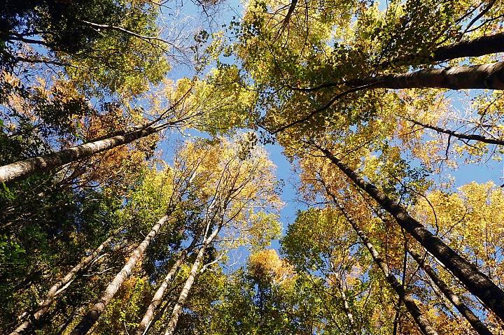 Hsinchu's Xiakaluo Trail: 2-Day Hiking and Camping Tour with Fall Foliage Viewing | Round Trip to Yangyang