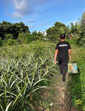 Green Island 3-Day Tour | Island Paradise, Green Food Festival, and Local Culture