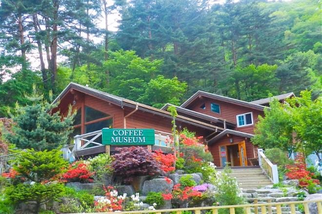 Yongpyong Ski Resort & Gangneung 3-Day Ski Tour (Group of 4) | Visit Korean Drama Filming Locations
