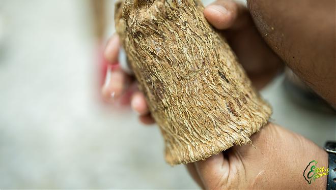 Knock away all your worries! Taitung Fugang Super Stress Relief Bark Lamp Making x Overseas Returnee Workshop